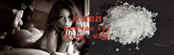 винт Богданович