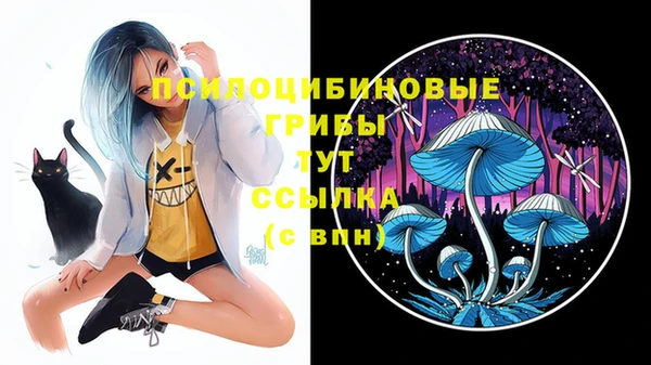 ALPHA-PVP Богородск