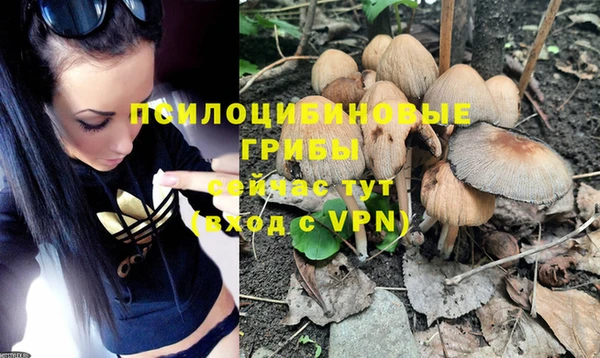ALPHA-PVP Богородск