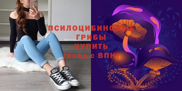 винт Богданович