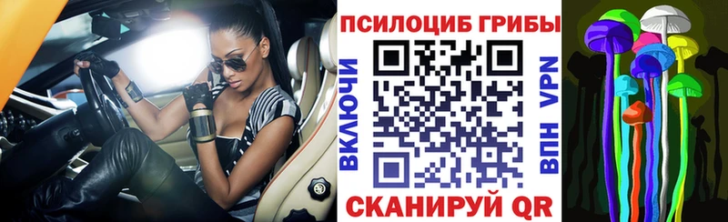 Псилоцибиновые грибы Psilocybine cubensis  МЕГА рабочий сайт  даркнет наркотические препараты  Новоузенск 